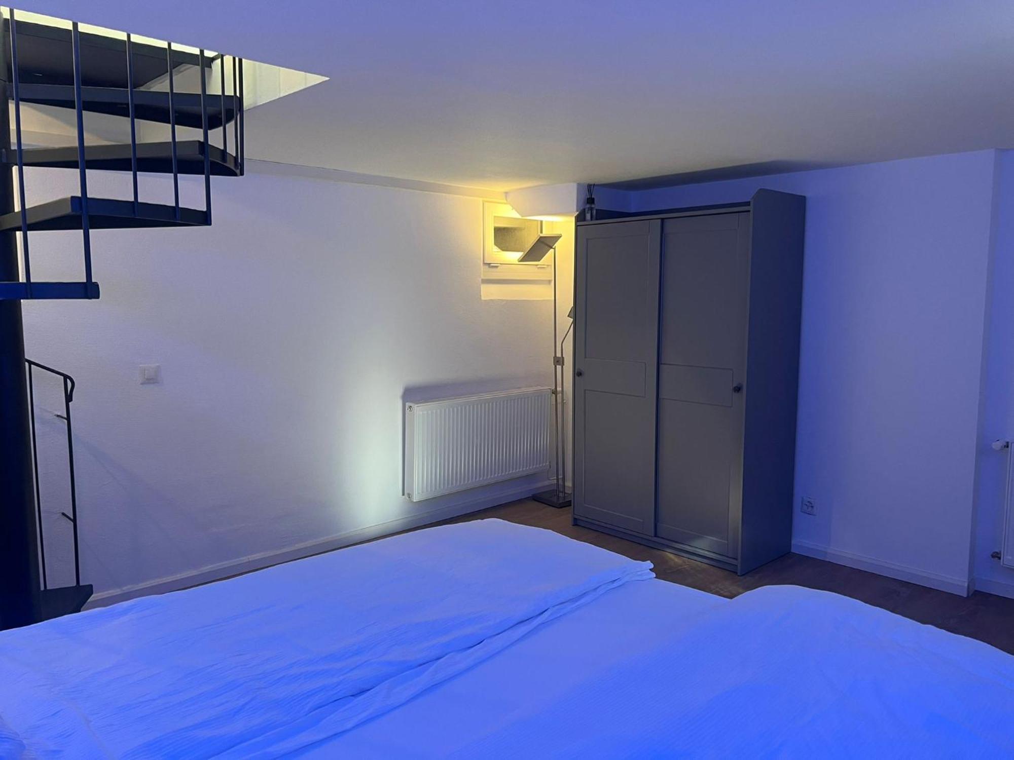 Blick Auf Schwarzen Turm - Freihofapartments Brugg  Eksteriør billede