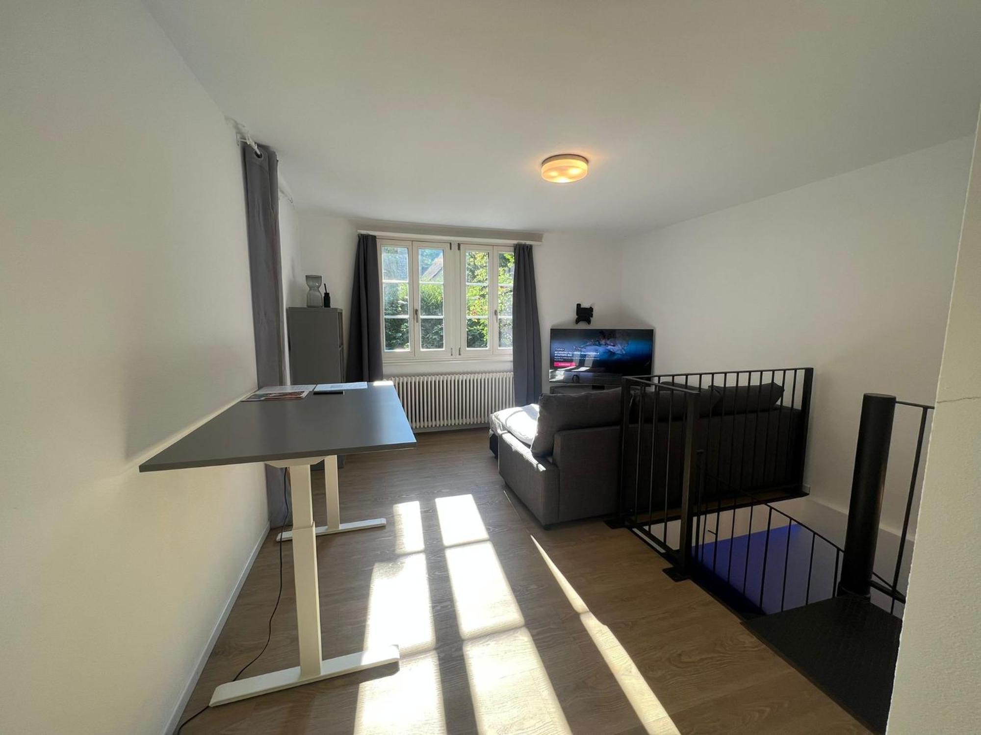 Blick Auf Schwarzen Turm - Freihofapartments Brugg  Eksteriør billede